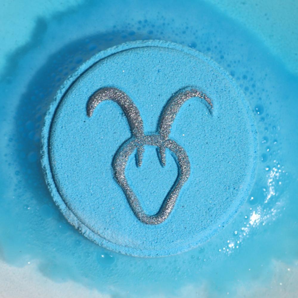 Box of 2 Zodiac Bath Fizzers with Horoscope - Capricorn