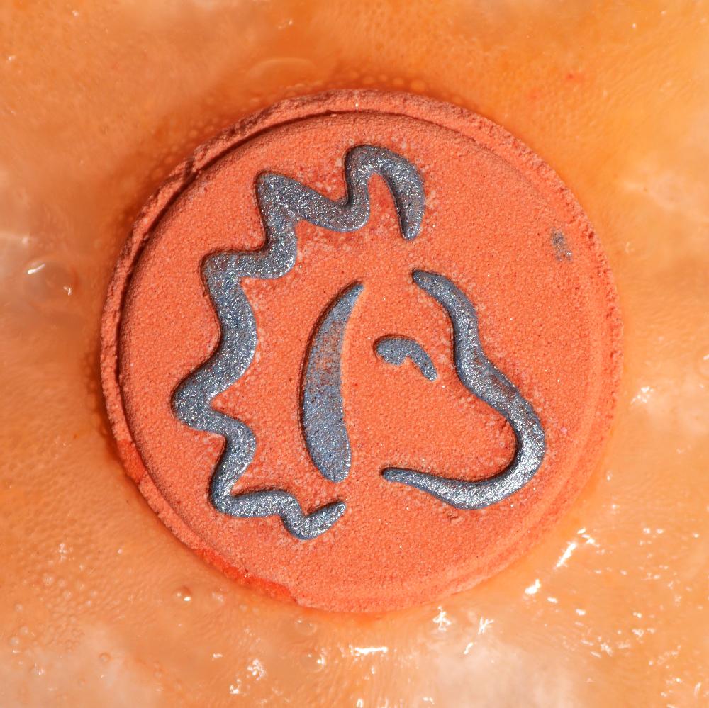Box of 2 Zodiac Bath Fizzers with Horoscope - Leo