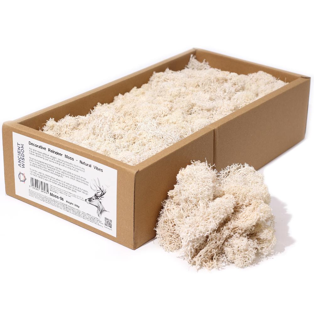 Quality Decorative Reindeer Moss - Natural Vibes - 635g Box